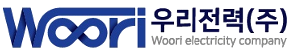 우리전력(주) Woori electricity company